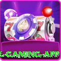 okokbro Ultimate Gaming App