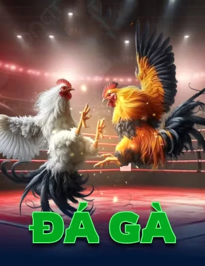 okvip - Boss thế giới